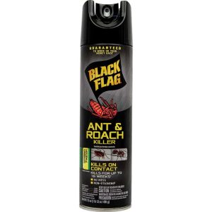 Insect Spray Diversion Safe